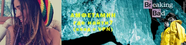 прущие грибы Бородино