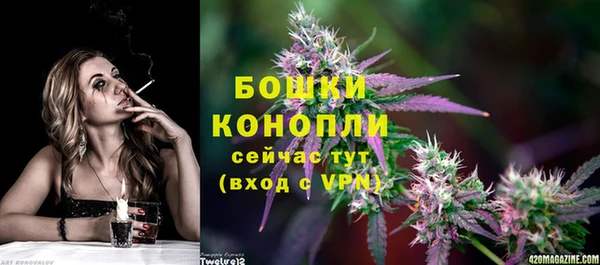 прущие крисы Верея