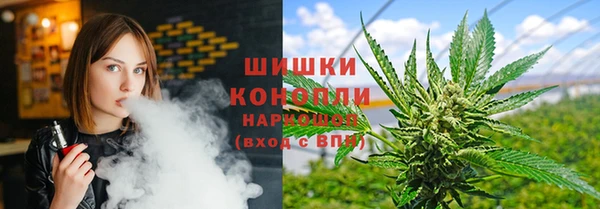 прущие крисы Верея