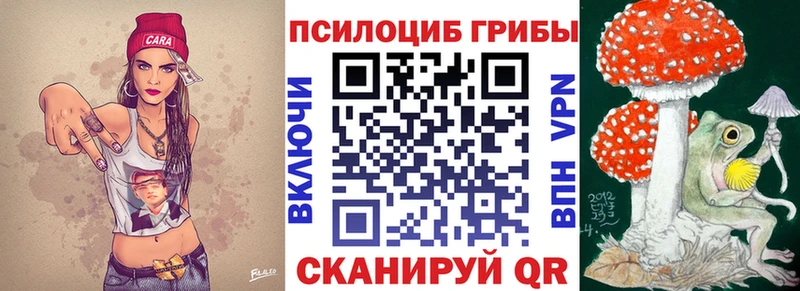 KRAKEN онион где продают Ростов Псилоцибиновые грибы Cubensis